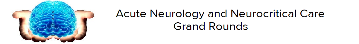 2020 Grand Rounds: Acute Neurology and NeuroCritical Care Banner